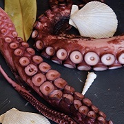 Кальмар, осьминог